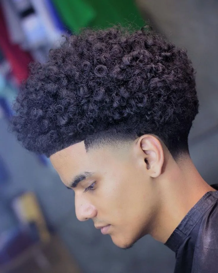 Tapered Curly Afro