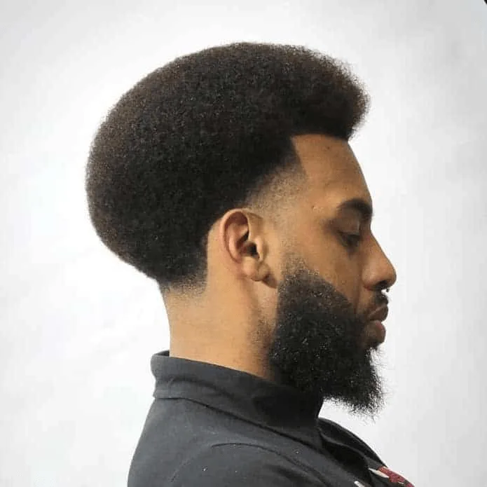 Afro with Low Taper Fade Black Men