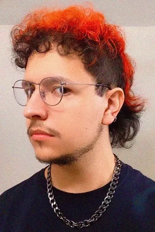 Curly Mullet with Highlights for Men